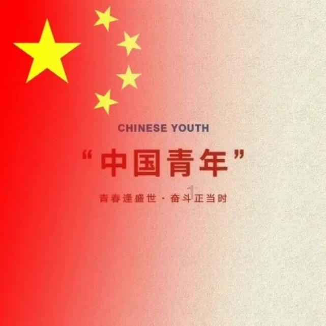 救援小袋熊